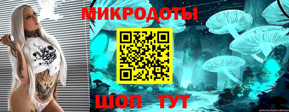 Псилоцибиновые грибы Psilocybine cubensis Нягань