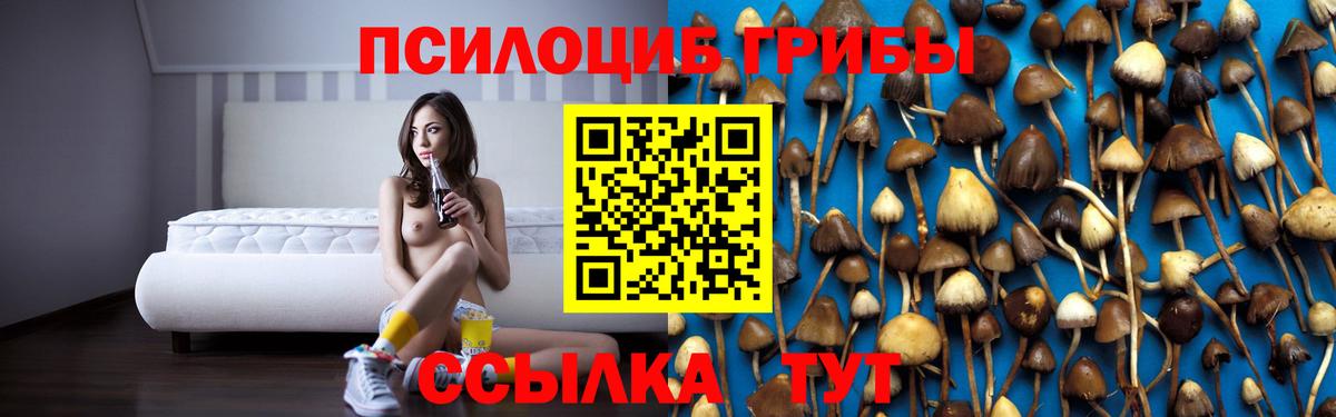 Нягань  Псилоцибиновые грибы мухоморы  Галлюциногенные грибы мицелий  Вход с VPN 