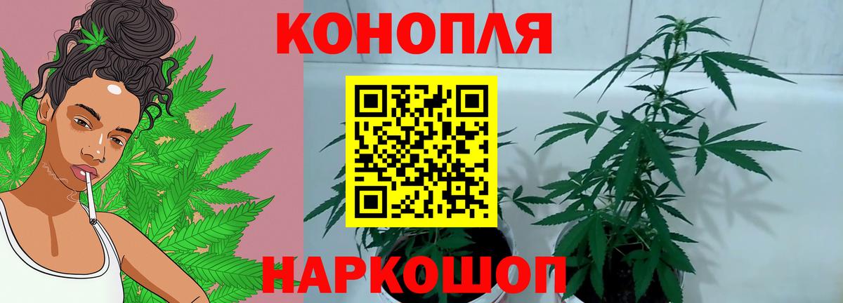Бошки Шишки ГИДРОПОН  Шишки марихуана семена  Каннабис индика  Нягань  Бошки марихуана марихуана  Вход с VPN 